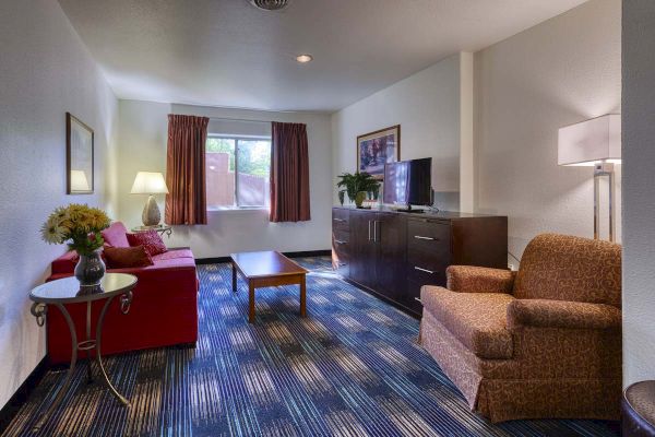A cozy living room with a sofa, armchair, TV, and a table. Decor includes a painting, lamp, flowers, and patterned carpet for comfort.