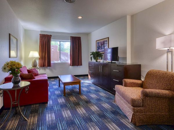 A cozy living room with a sofa, armchair, TV, and a table. Decor includes a painting, lamp, flowers, and patterned carpet for comfort.