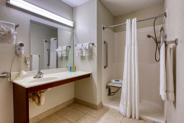 This image shows a bathroom with a sink, mirror, hairdryer, towels, toiletries, and a shower with a curtain and grab bars.
